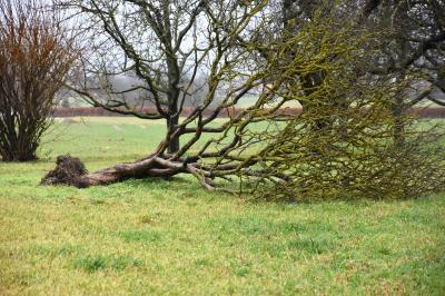 Nuertingen: Mehrere Feuerwehreinsaetze wegen heftigem Sturm
